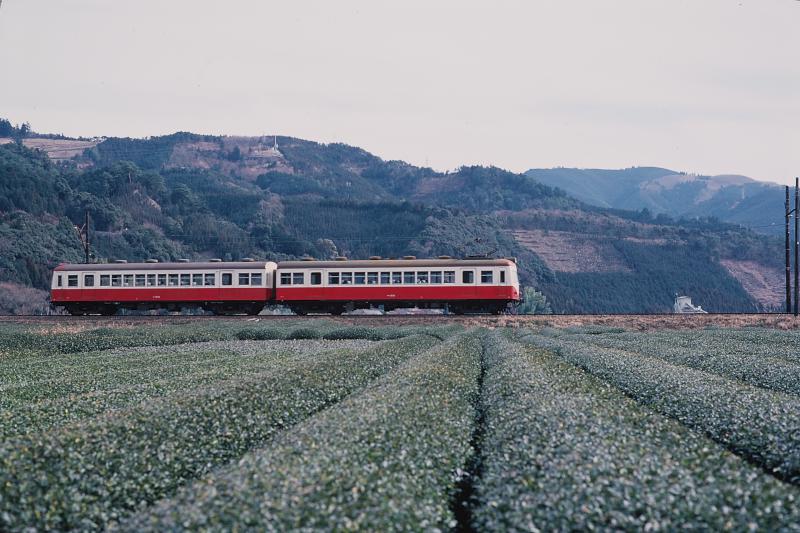 _d6c4420.jpg