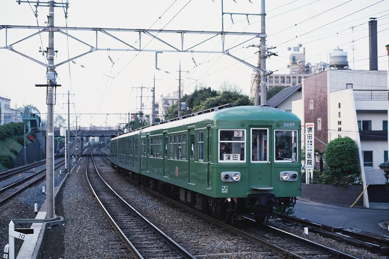 _d6c4512.jpg
