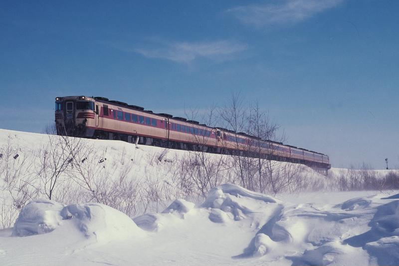 _d6c5418.jpg