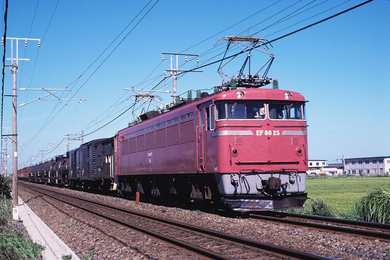 _d6c5695.jpg