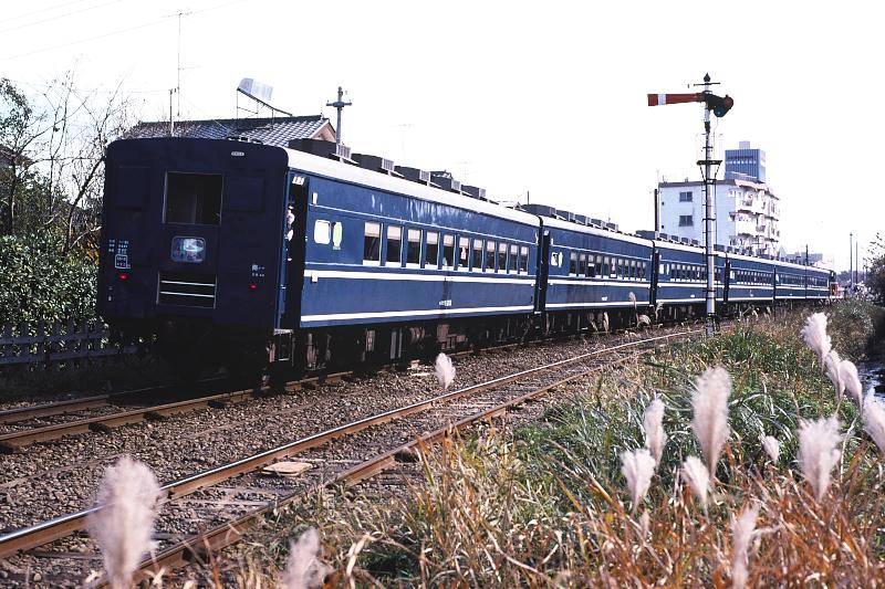 _d6c5984.jpg
