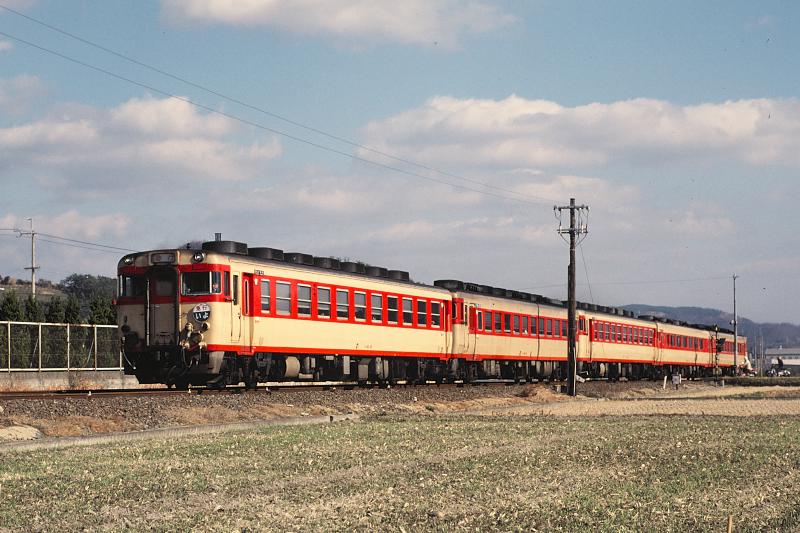 _d6c6151.jpg