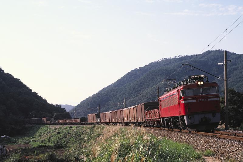 _d6c6594.jpg