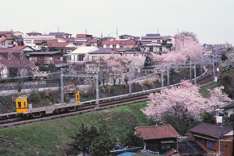 _d6c6810.jpg