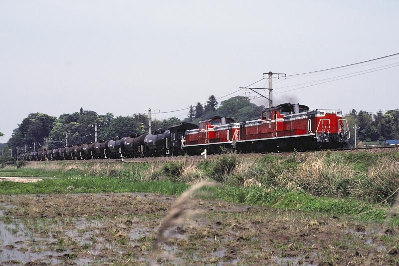 _d6c6821.jpg