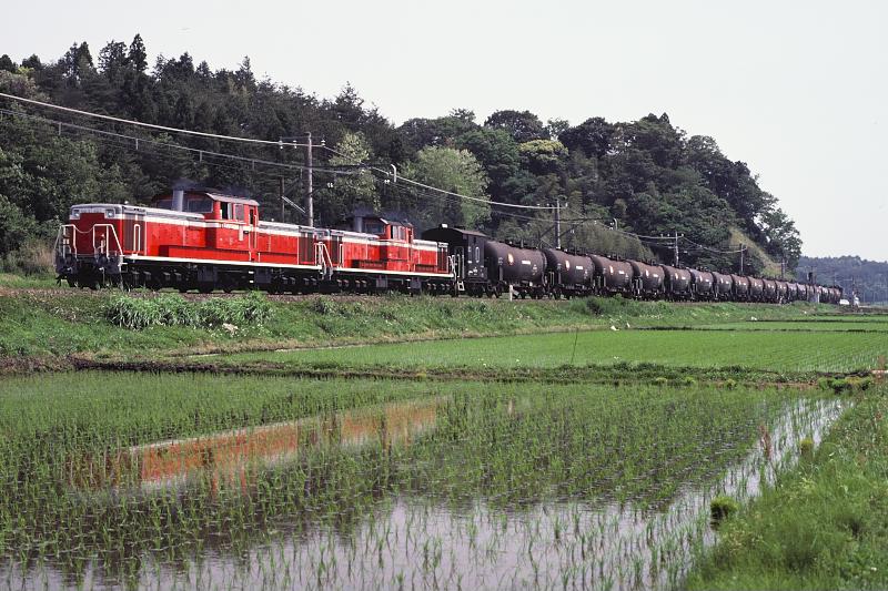 _d6c6826.jpg