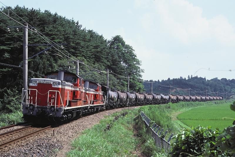 _d6c6880.jpg