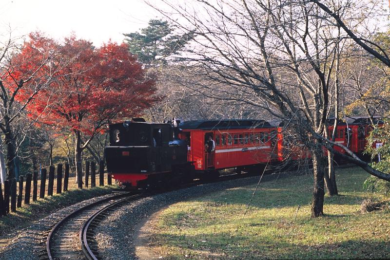 _d6c7089.jpg