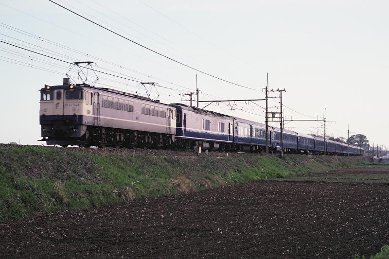 _D6C7326.jpg