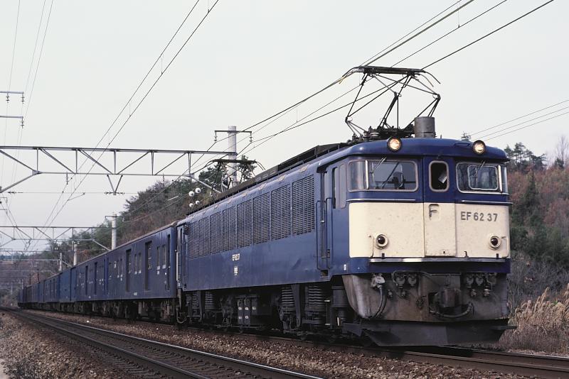 _D6C7769.jpg