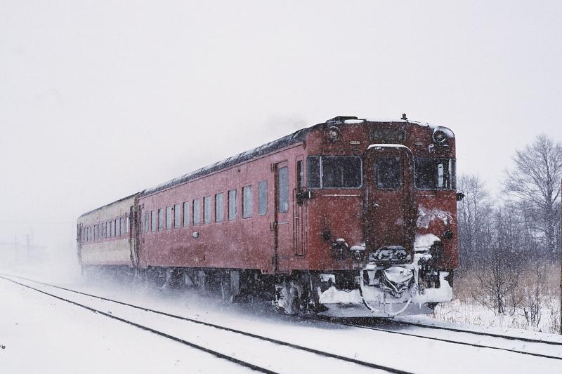 _D6C7800.jpg