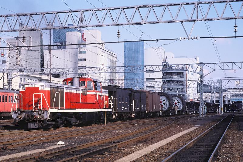 _D6C7933.jpg