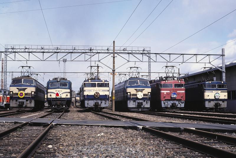 _D6C7959.jpg