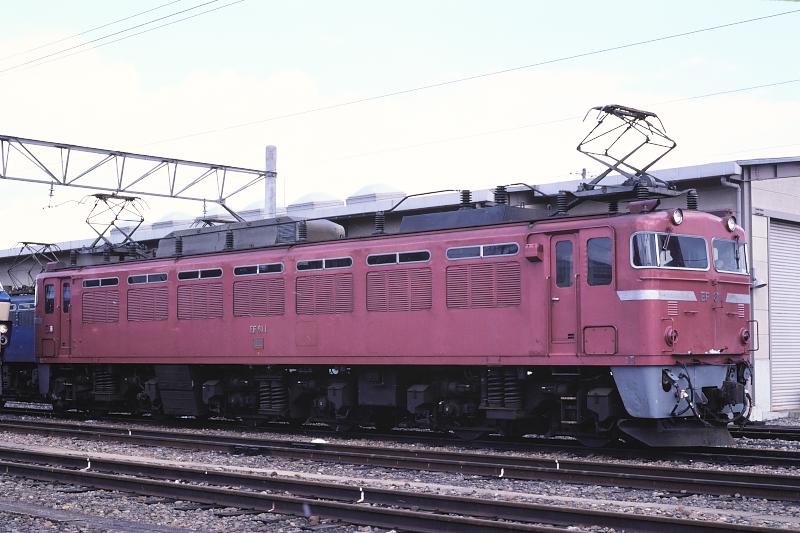 _D6C7962.jpg