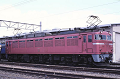_D6C7962_thumb.png