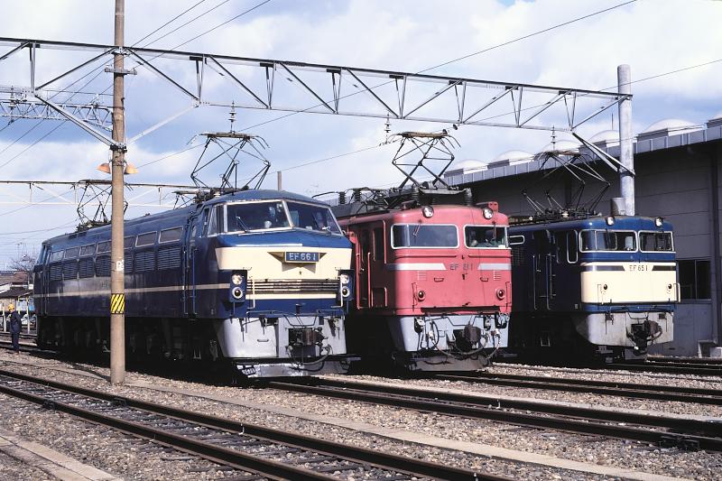 _D6C7966.jpg