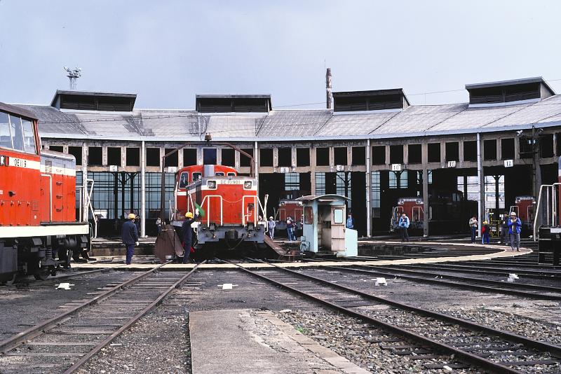 _D6C7975.jpg