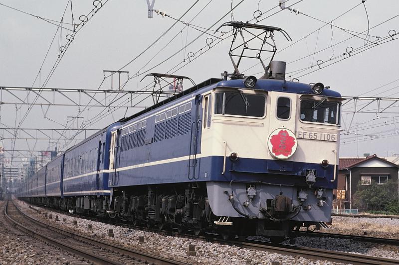 _D6C7981.jpg