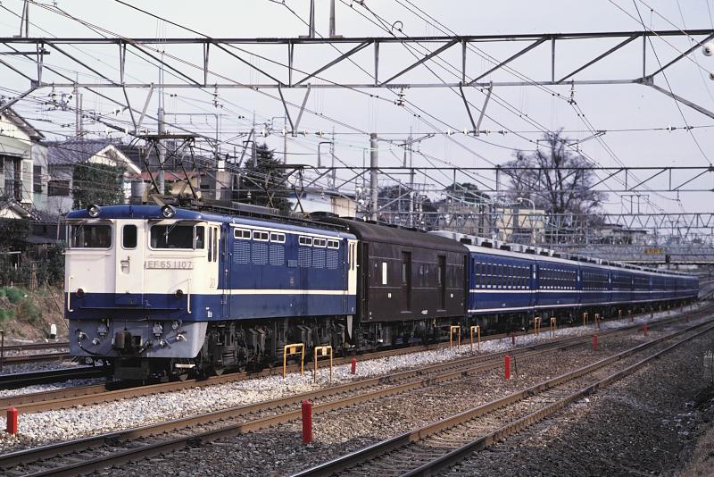 _D6C8005.jpg