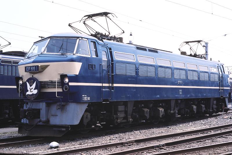 _D6C8148.jpg