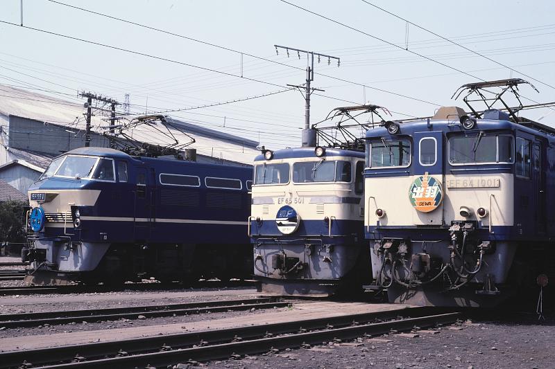 _D6C8156.jpg