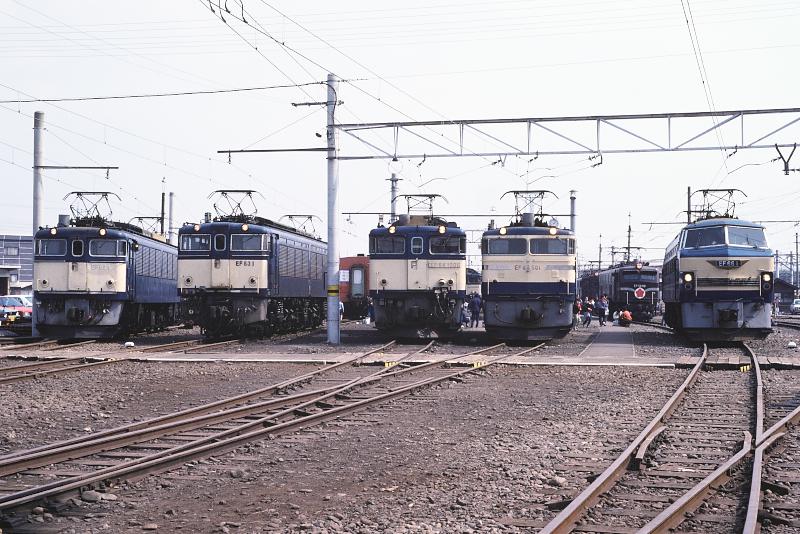 _D6C8166.jpg