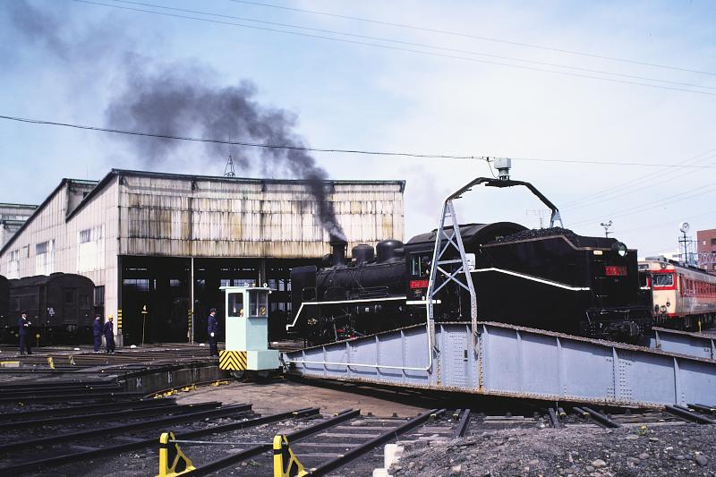 _D6C8169.jpg
