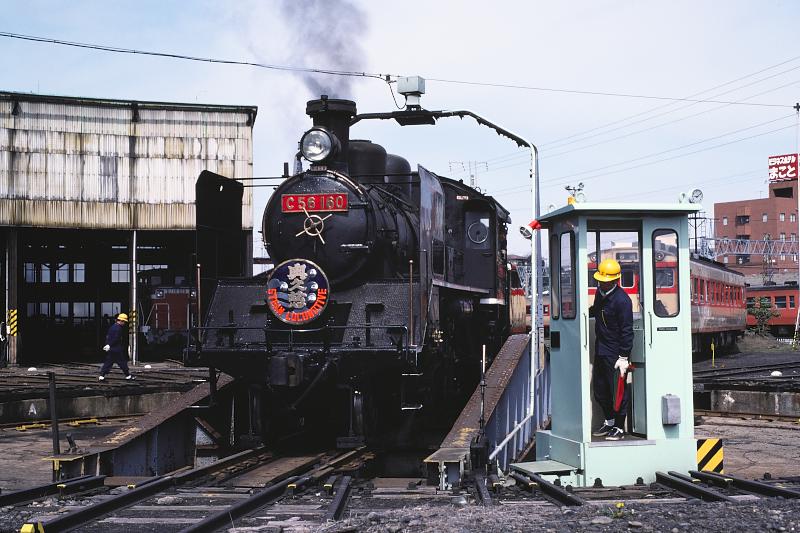 _D6C8170.jpg