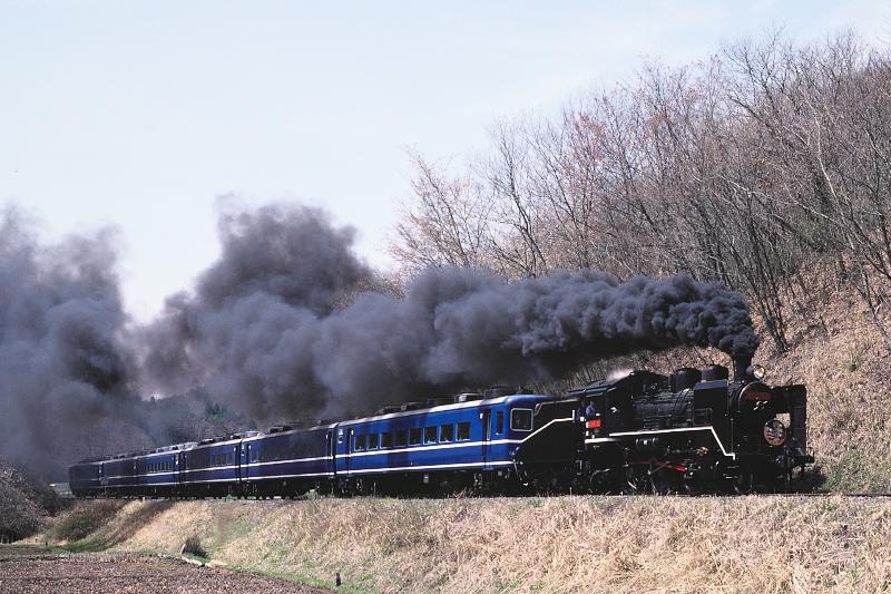 _D6C8174.jpg