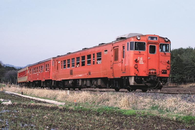 _D6C8175.jpg