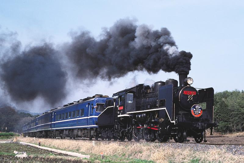 _D6C8176.jpg