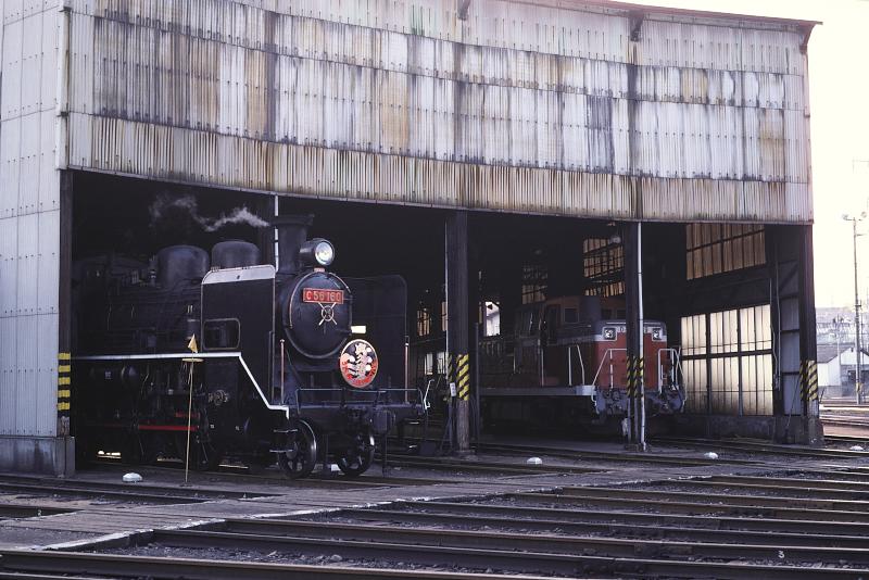 _D6C8181.jpg