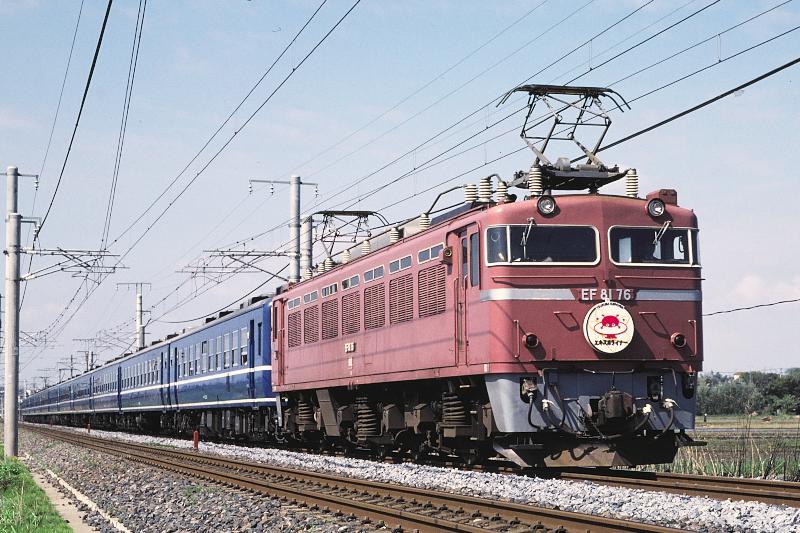 _D6C8185.jpg