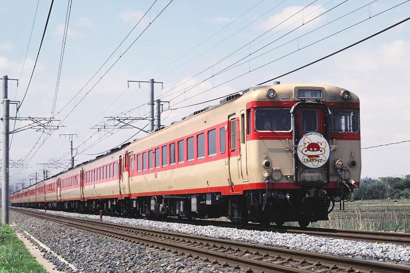 _D6C8193.jpg