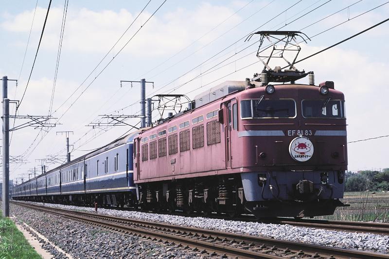 _D6C8197.jpg