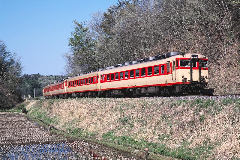 _D6C8208.jpg