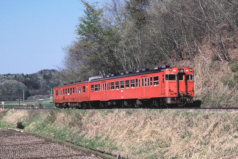_D6C8209.jpg