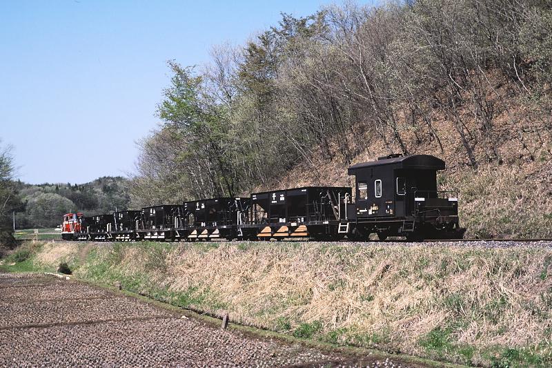 _D6C8212.jpg