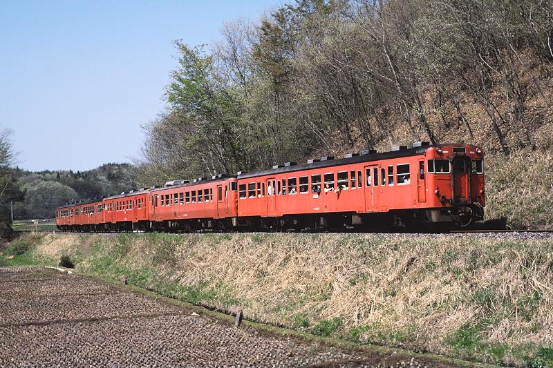 _D6C8213.jpg