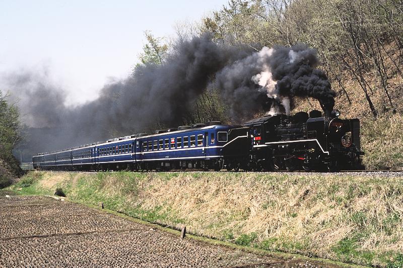 _D6C8215.jpg