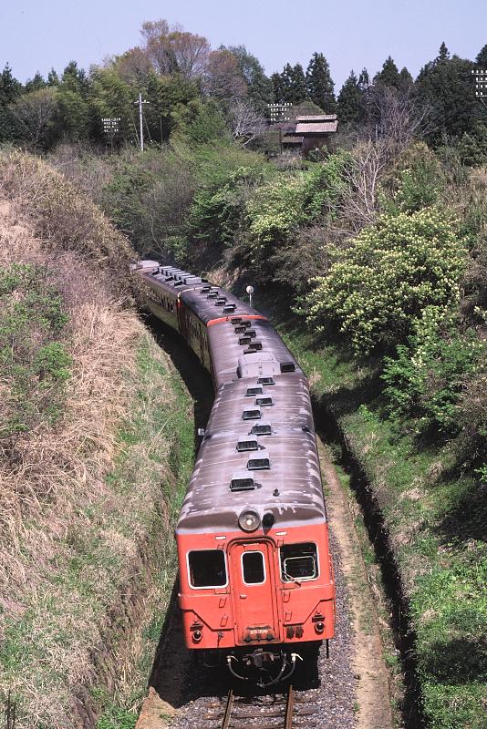 _D6C8220.jpg