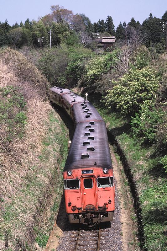 _D6C8221.jpg
