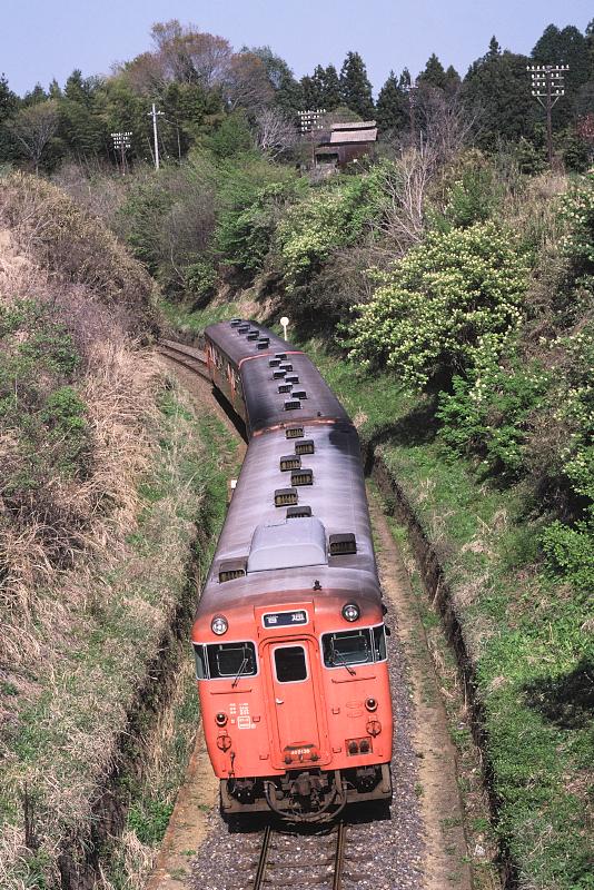 _D6C8222.jpg