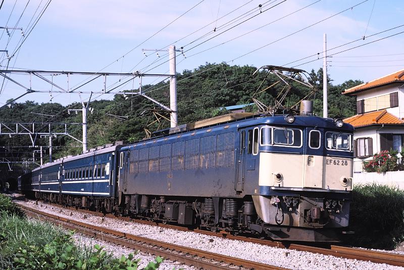 _D6C8242.jpg