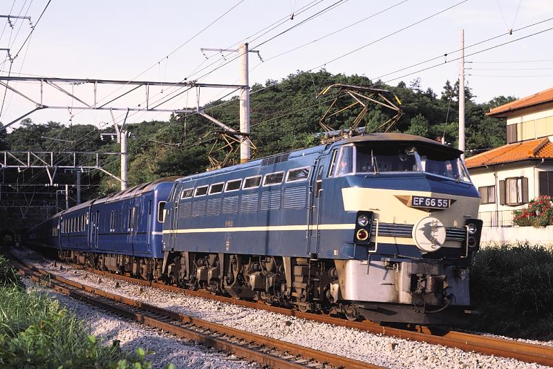 _D6C8250.jpg