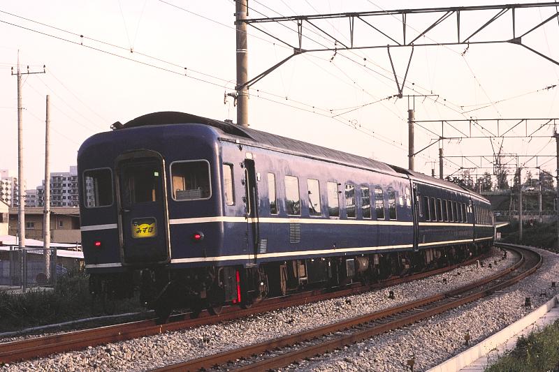 _D6C8252.jpg