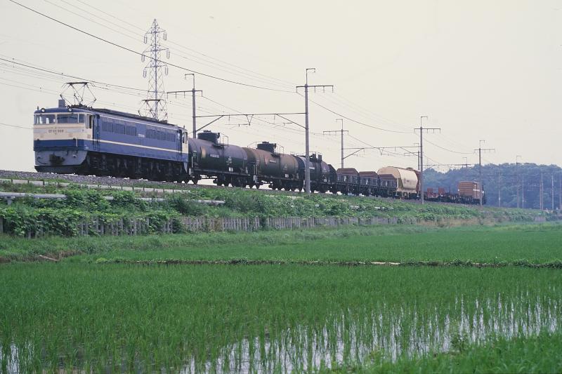 _D6C8309.jpg