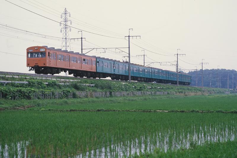 _D6C8310.jpg