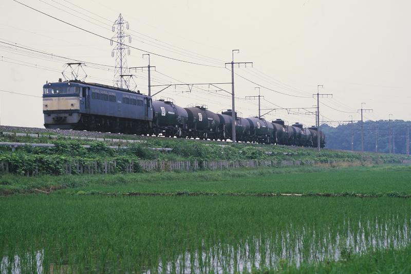 _D6C8311.jpg