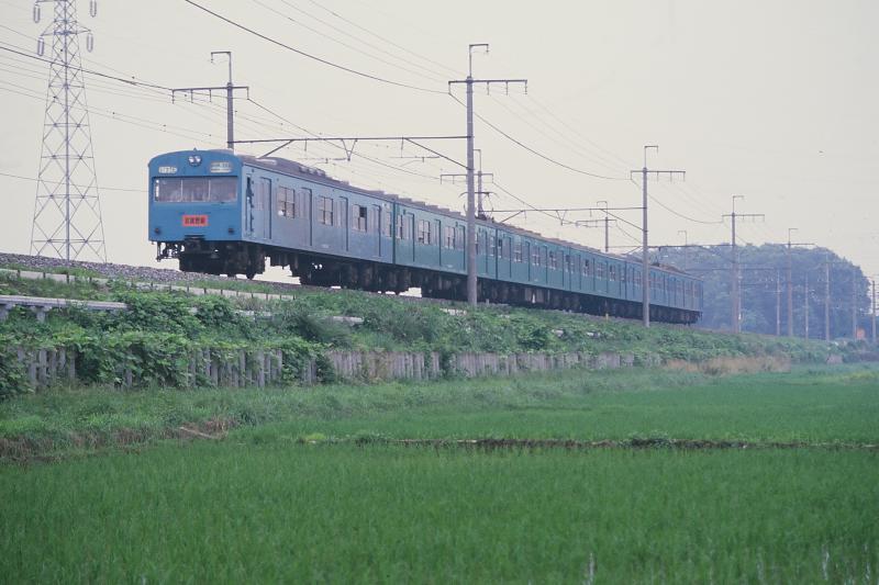 _D6C8313.jpg